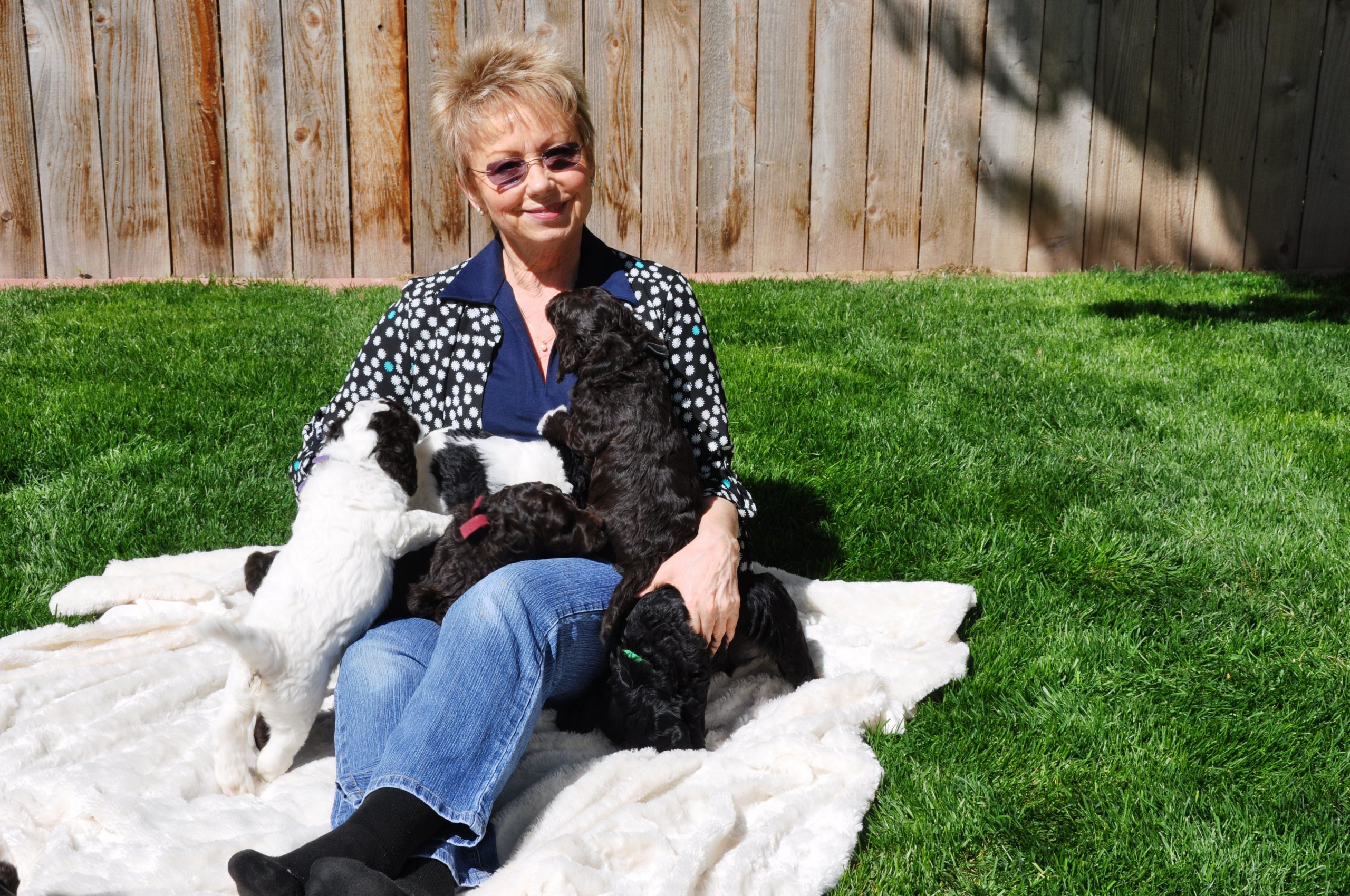 Carol with Zadie Pups 1st Outing